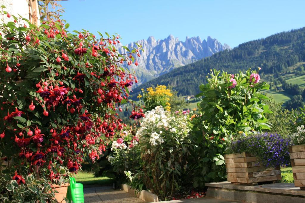 Apartments Haus Huber Mühlbach am Hochkönig Exterior foto